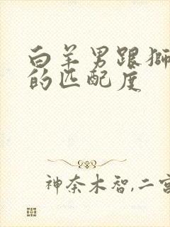 白羊男跟狮子女的匹配度