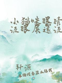 小猫咪眼睛红肿流眼屎还流眼泪