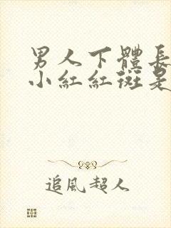 男人下体长起点小红红斑是这么回事