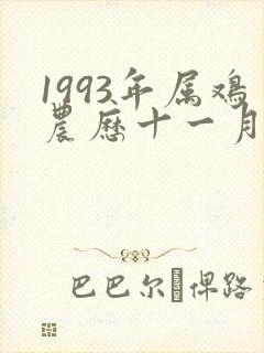 1993年属鸡农历十一月的一生命运