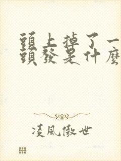 头上掉了一小块头发是什么原因