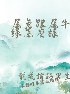 属兔跟属牛的姻缘怎么样