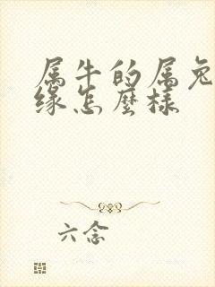 属牛的属兔的姻缘怎么样