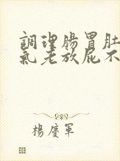 调理肠胃肚子胀气老放屁不消化