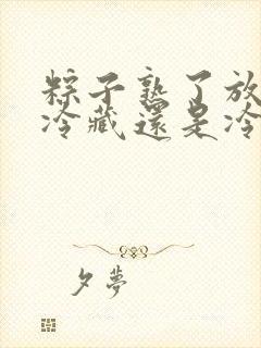 粽子熟了放冰箱冷藏还是冷冻