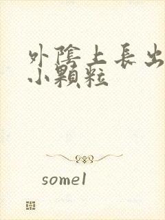 外阴上长出很多小颗粒