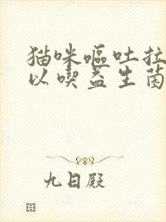 猫咪呕吐拉稀可以吃益生菌吗