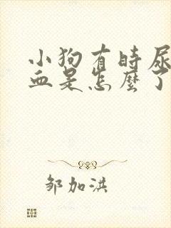 小狗有时尿里有血是怎么了