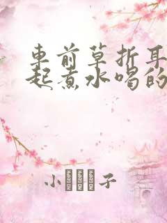 车前草折耳根一起煮水喝的作用