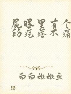 屁眼里有个硬硬的疙瘩不痛不痒
