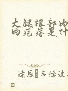 大腿根部内里有肉疙瘩是什么原因