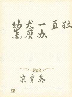 幼犬一直拉软便怎么办