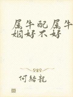 属牛配属牛的婚姻好不好