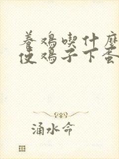 养鸡吃什么饲料使鸡子下蛋多