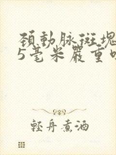 颈动脉斑块1.5毫米严重吗