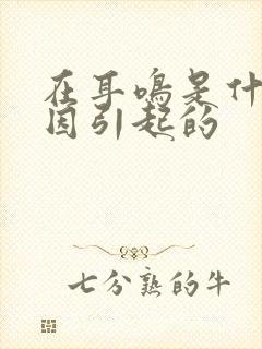 在耳鸣是什么原因引起的