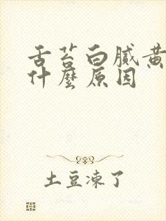 舌苔白腻黄厚是什么原因