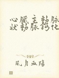 心脏主动脉和冠状动脉钙化