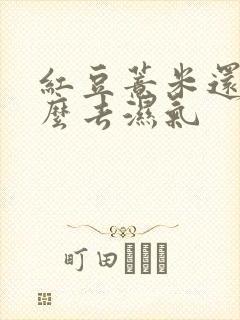 红豆薏米还加什么去湿气