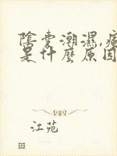 阴囊潮湿,瘙痒是什么原因造成的