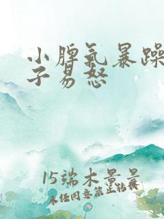 小脾气暴躁的孩子易怒