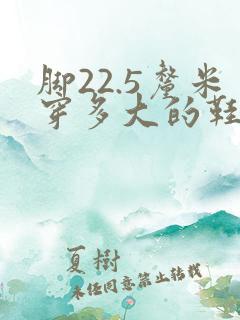 脚22.5厘米穿多大的鞋码