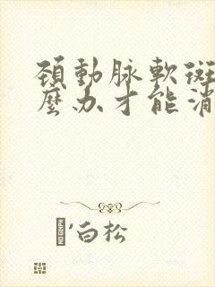 颈动脉软斑块怎么办才能消除