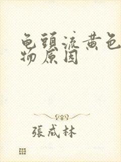 龟头流黄色分泌物原因