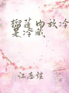 榴莲肉放冷冻还是冷藏