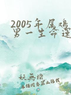 2005年属鸡男一生命运如何