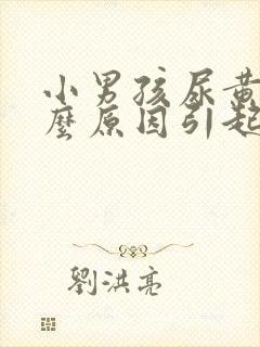 小男孩尿黄是什么原因引起的