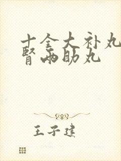 十全大补丸和脾肾两助丸