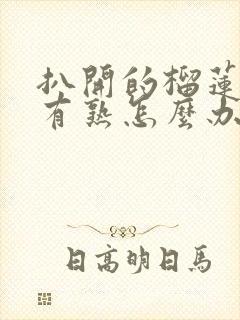 扒开的榴莲肉没有熟怎么办