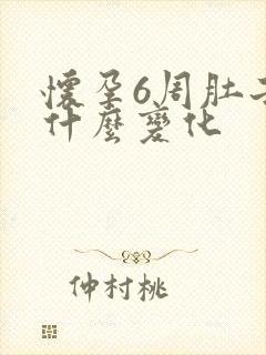 怀孕6周肚子有什么变化