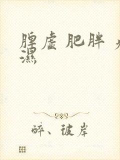 脾虚 肥胖 痰湿