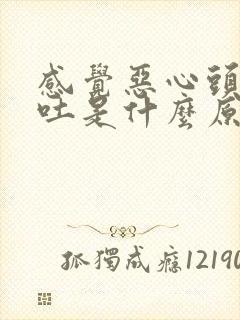 感觉恶心头晕想吐是什么原因引起的