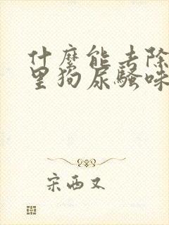 什么能去除房间里狗尿骚味