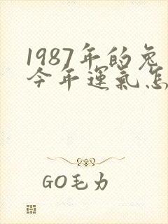 1987年的兔今年运气怎么样