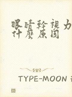 眼睛干视力模糊什么原因