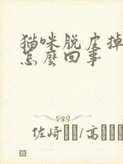 猫咪脱皮掉毛是怎么回事