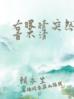 右眼睛突然模糊看不清