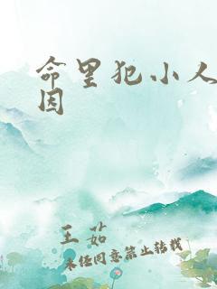 命里犯小人的原因