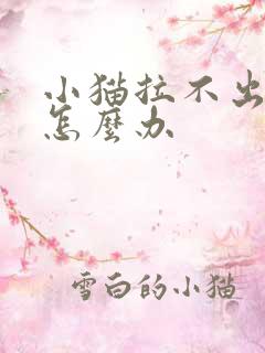 小猫拉不出来尿怎么办