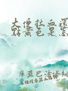 大便拉血还有带点黄色是怎么回事