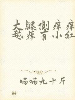 大腿侧痒痒越抓越痒有小红疙瘩