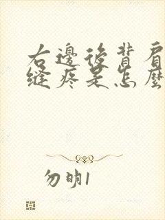 右边后背肩胛骨缝疼是怎么回事