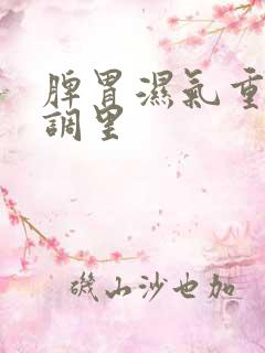 脾胃湿气重怎么调里