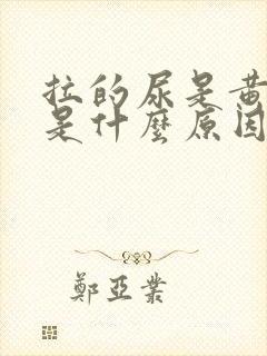 拉的尿是黄色的是什么原因