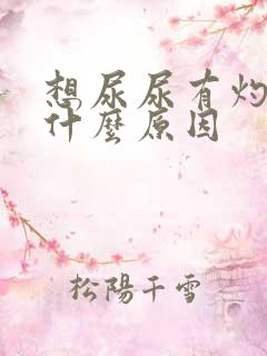 想尿尿有灼烧感什么原因