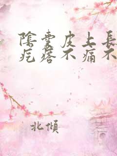 阴囊皮上长了小疙瘩不痛不痒